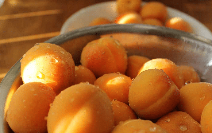 Компот из абрикосов на зиму: 3 простых рецепта приготовления компота