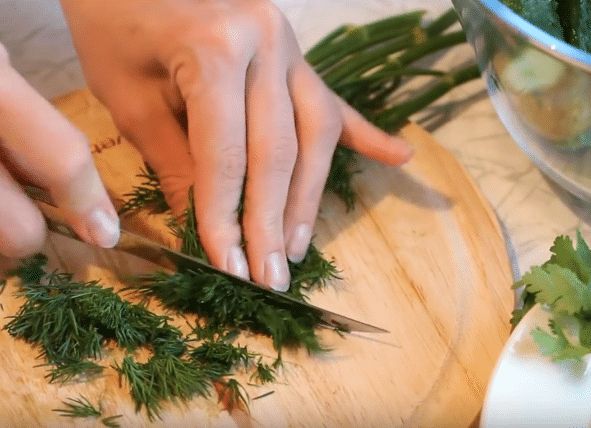 Малосольные огурцы в пакете с чесноком и укропом: 5 быстрых рецептов малосольных огурцов