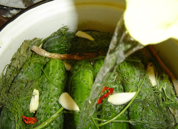 Классический рецепт малосольных огурцов: как приготовить малосольные огурцы