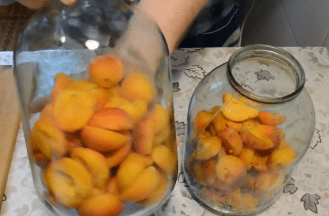 Компот из абрикосов на зиму: 3 простых рецепта приготовления компота