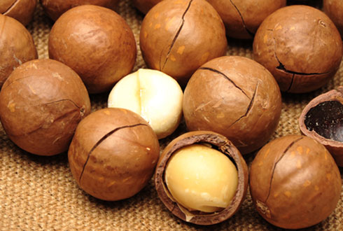 Орехи макадамия