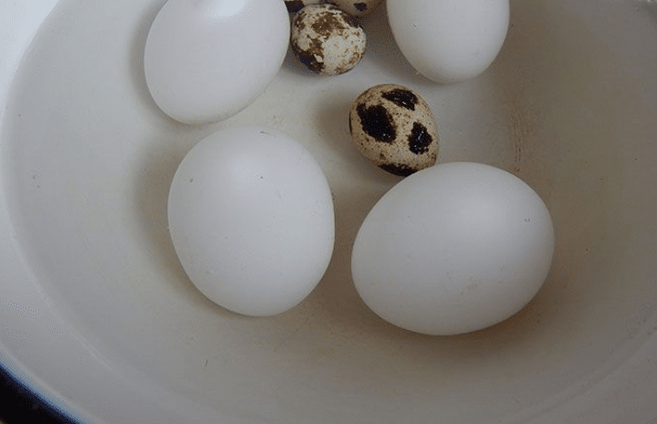 Салат гнездо глухаря слоями. Пошаговые рецепты с грибами и копченой курицей