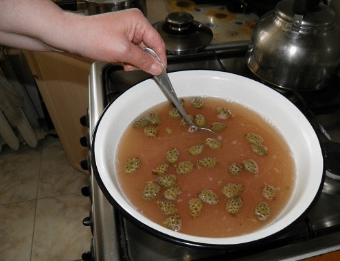 Варенье из сосновых шишек: как приготовить вкусное и полезное лакомство
